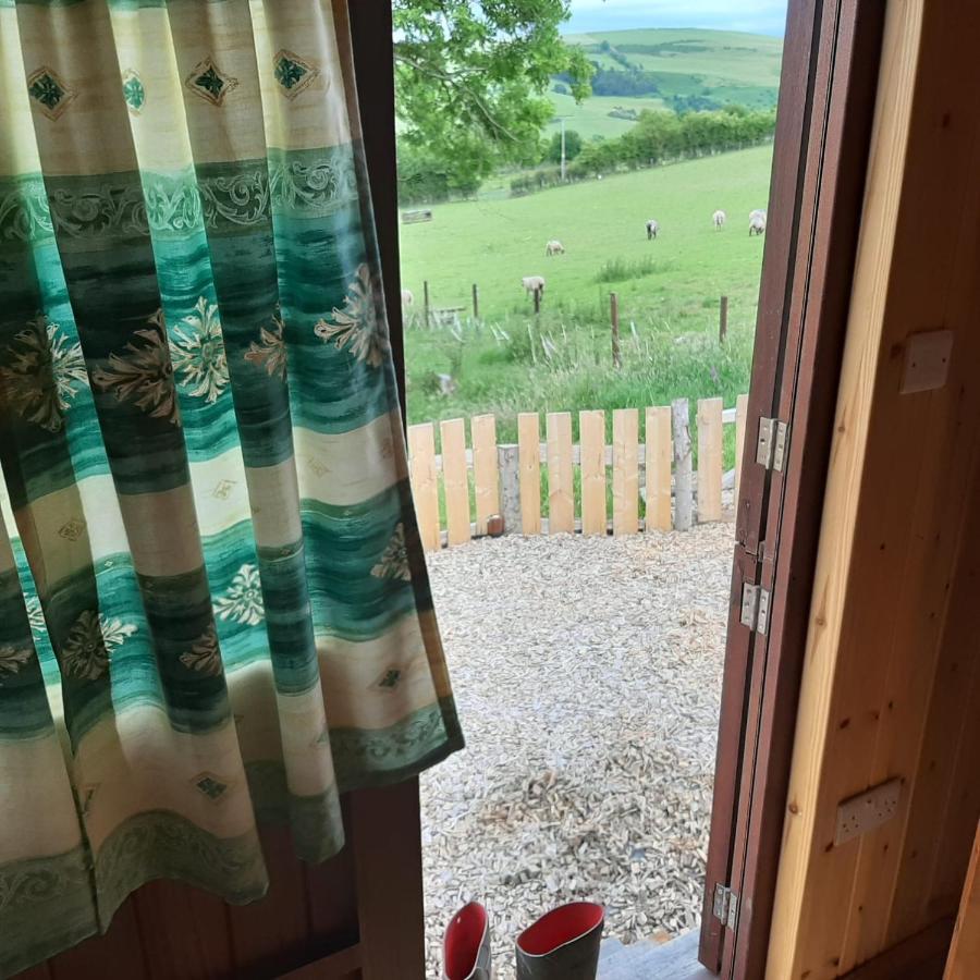 Foxglove Accommodation Крейвън Армс Екстериор снимка